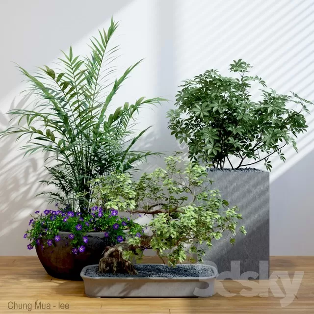 3DSKYFREE – PLANT - FLOOR 3DS MAX MODELS