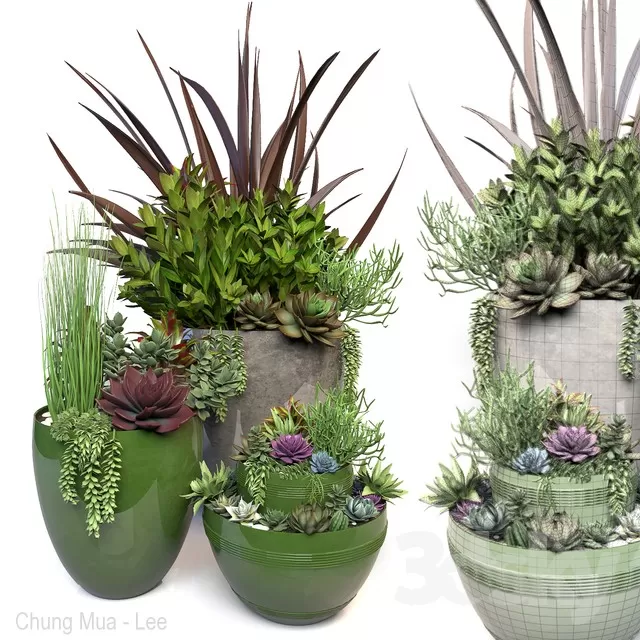 3DSKYFREE – PLANT - FLOOR 3DS MAX MODELS