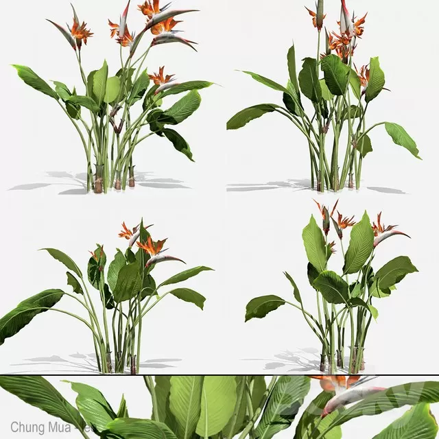 3DSKYFREE – PLANT - FLOOR 3DS MAX MODELS