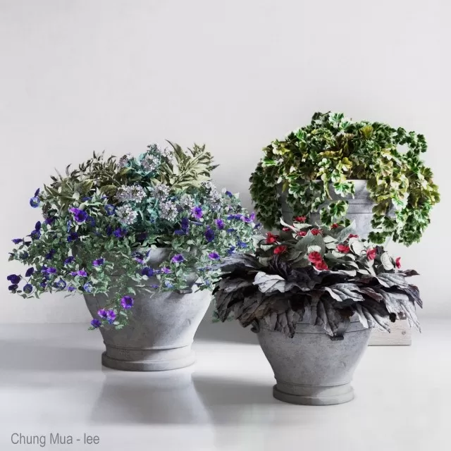 3DSKYFREE – PLANT - FLOOR 3DS MAX MODELS