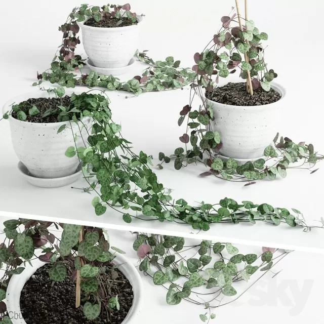 3DSKYFREE – PLANT - FLOOR 3DS MAX MODELS