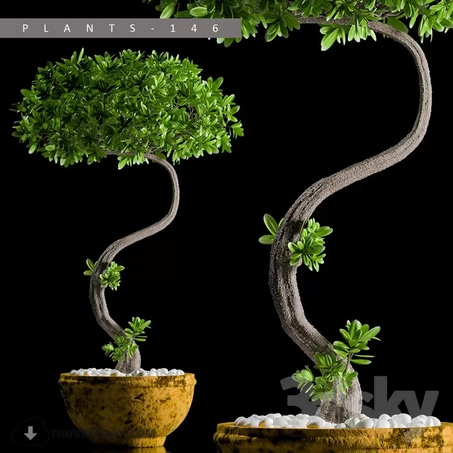 3DSKYFREE – PLANT - FLOOR 3DS MAX MODELS