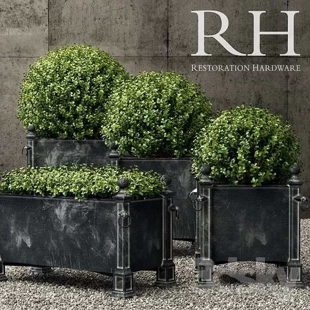 3DSKYFREE – PLANT - FLOOR 3DS MAX MODELS