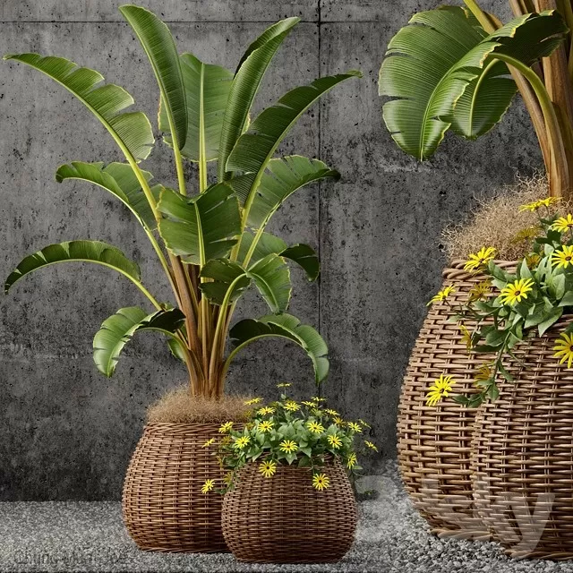 3DSKYFREE – PLANT - FLOOR 3DS MAX MODELS