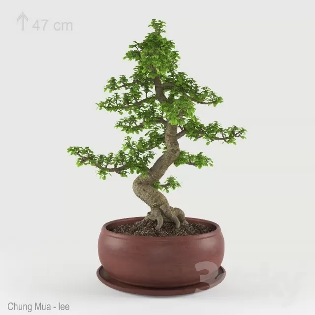 3DSKYFREE – PLANT - FLOOR 3DS MAX MODELS