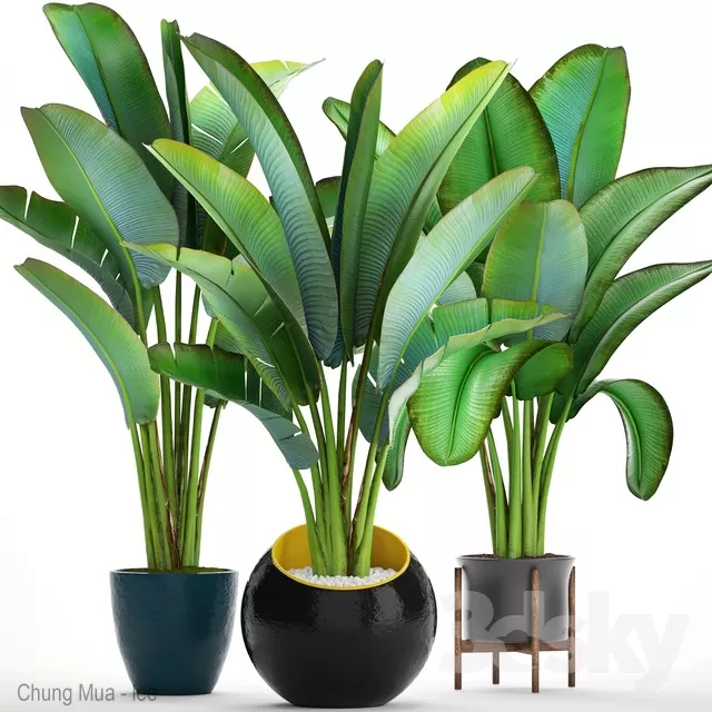 PLANT - FLOOR 3D MODELS