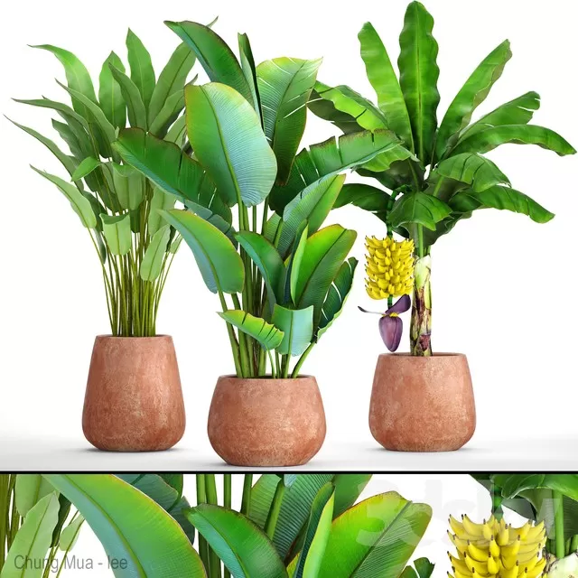 3DSKYFREE – PLANT - FLOOR 3DS MAX MODELS