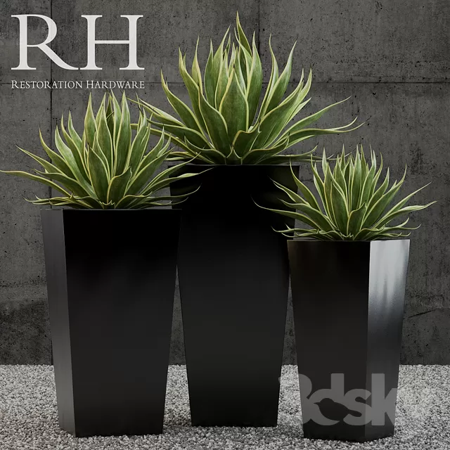 3DSKYFREE – PLANT - FLOOR 3DS MAX MODELS