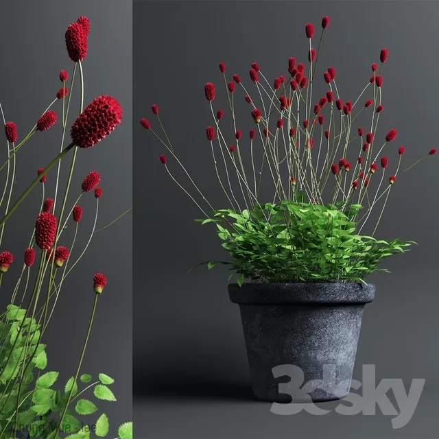 3DSKYFREE – PLANT - FLOOR 3DS MAX MODELS