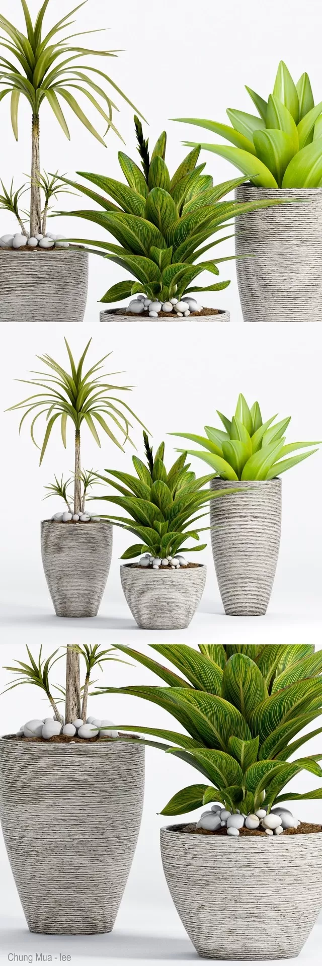 3DSKYFREE – PLANT - FLOOR 3DS MAX MODELS