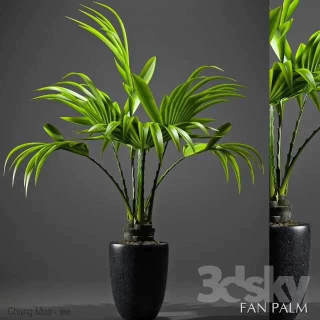 3DSKYFREE – PLANT - FLOOR 3DS MAX MODELS