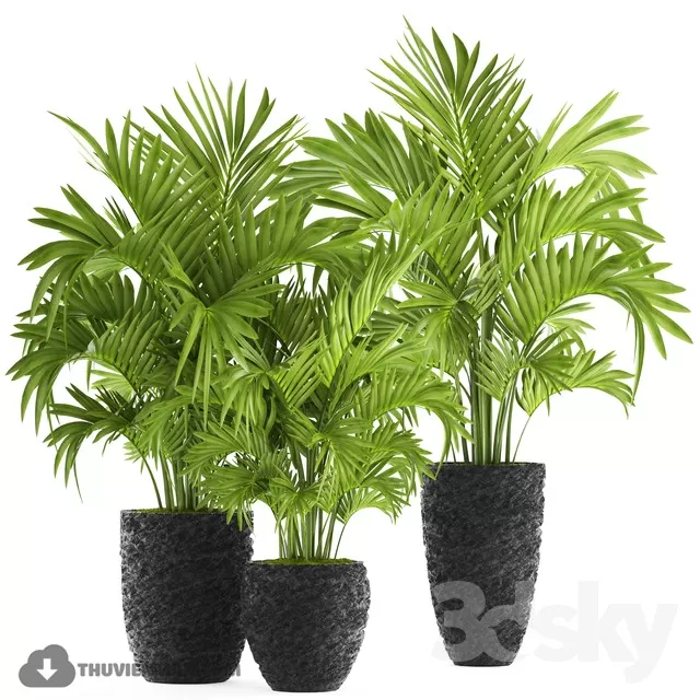 3DSKYFREE – PLANT - FLOOR 3DS MAX MODELS