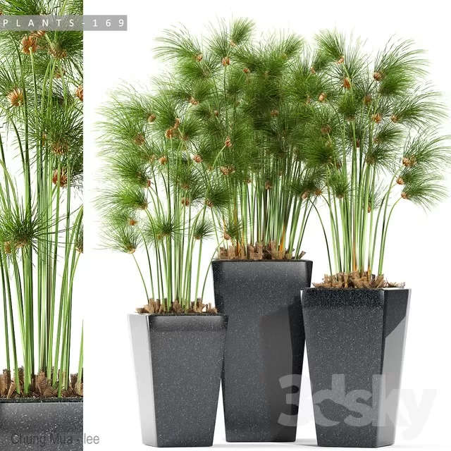 3DSKYFREE – PLANT - FLOOR 3DS MAX MODELS