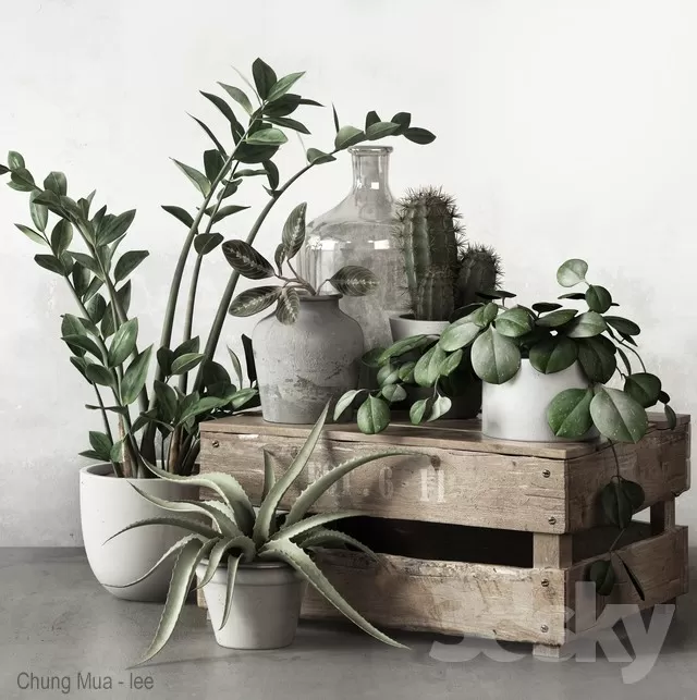 3DSKYFREE – PLANT - FLOOR 3DS MAX MODELS