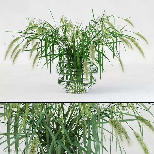 3DSKYFREE – PLANT - FLOOR 3DS MAX MODELS