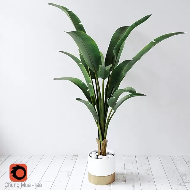 3DSKYFREE – PLANT - FLOOR 3DS MAX MODELS