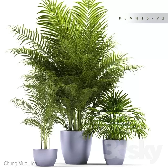 3DSKYFREE – PLANT - FLOOR 3DS MAX MODELS