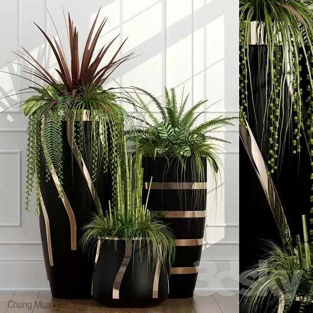 3DSKYFREE – PLANT - FLOOR 3DS MAX MODELS