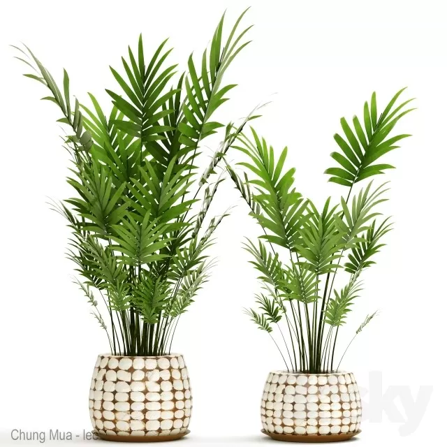 3DSKYFREE – PLANT - FLOOR 3DS MAX MODELS