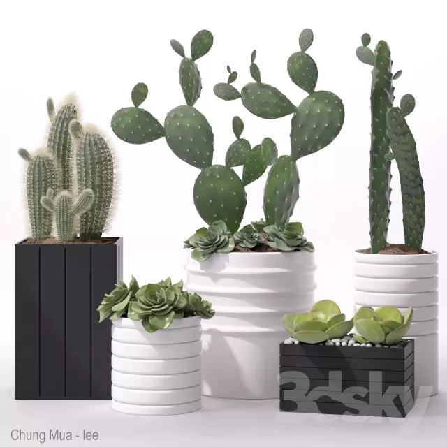 PLANT - FLOOR 3D MODELS