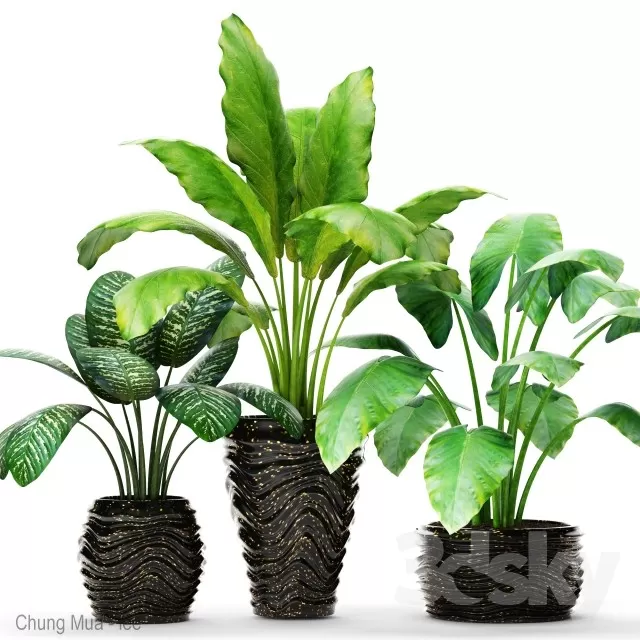 3DSKYFREE – PLANT - FLOOR 3DS MAX MODELS