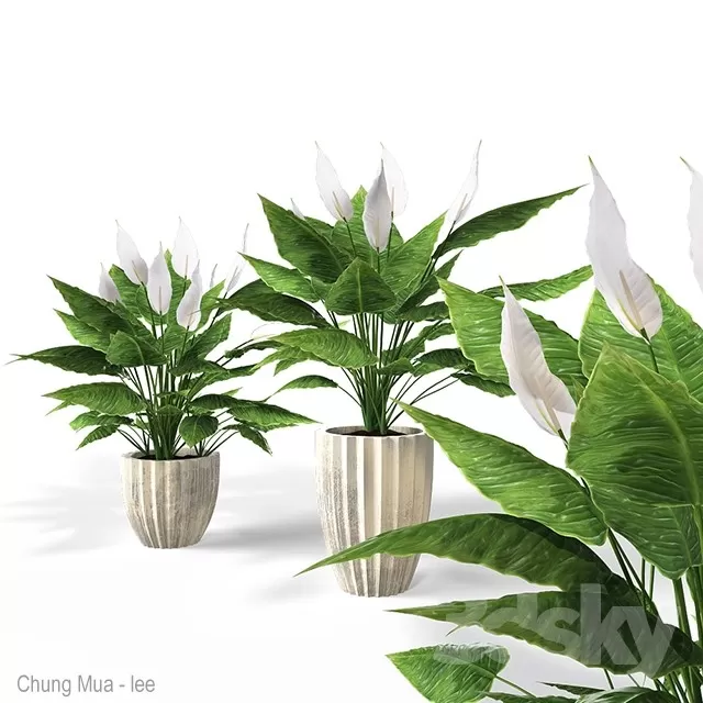 3DSKYFREE – PLANT - FLOOR 3DS MAX MODELS
