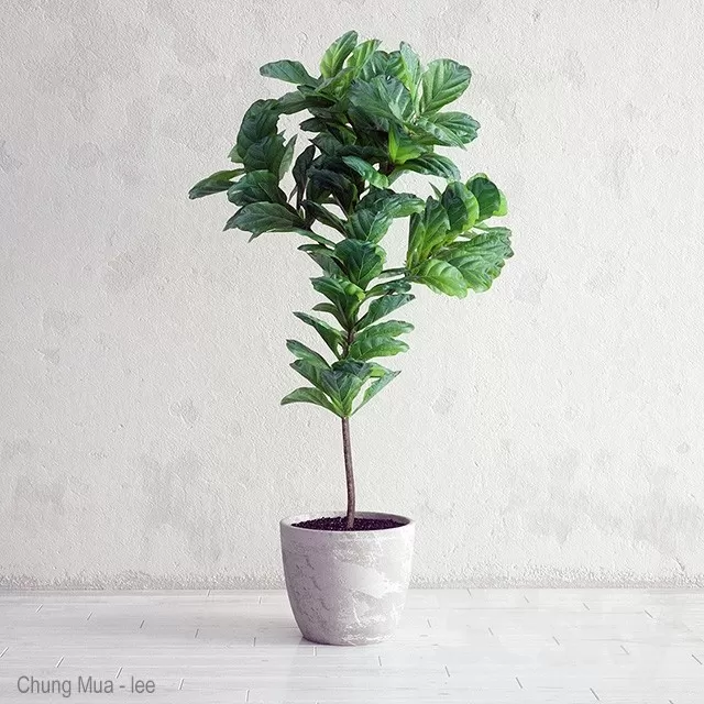 3DSKYFREE – PLANT - FLOOR 3DS MAX MODELS