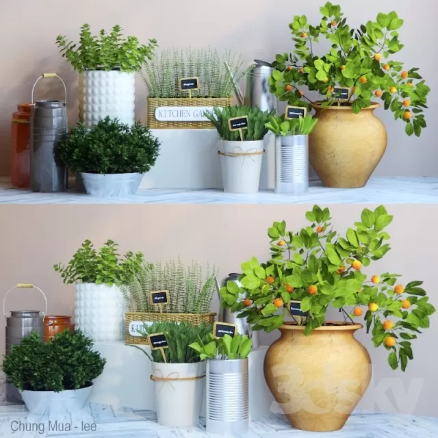 3DSKYFREE – PLANT - FLOOR 3DS MAX MODELS