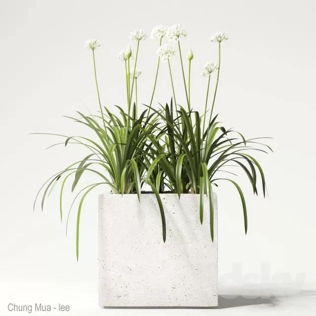 3DSKYFREE – PLANT - FLOOR 3DS MAX MODELS