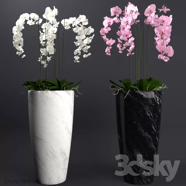 3DSKYFREE – PLANT - FLOOR 3DS MAX MODELS
