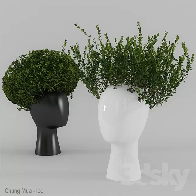 3DSKYFREE – PLANT - FLOOR 3DS MAX MODELS