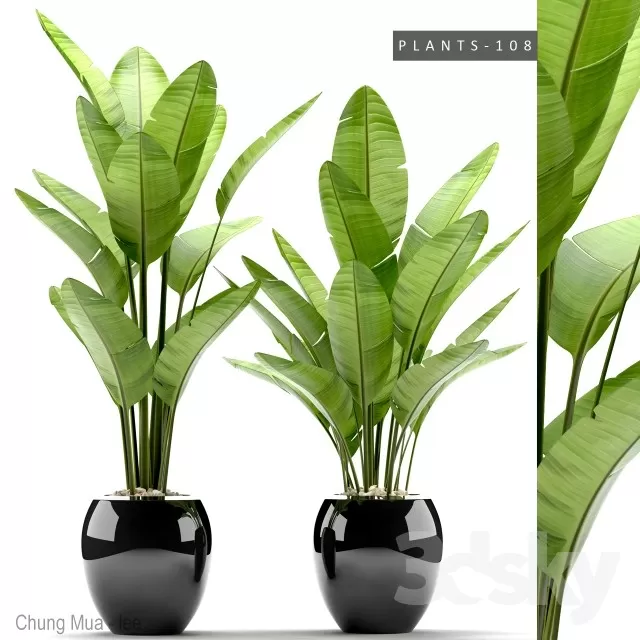 3DSKYFREE – PLANT - FLOOR 3DS MAX MODELS