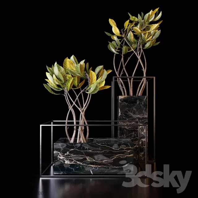 3DSKYFREE – PLANT - FLOOR 3DS MAX MODELS