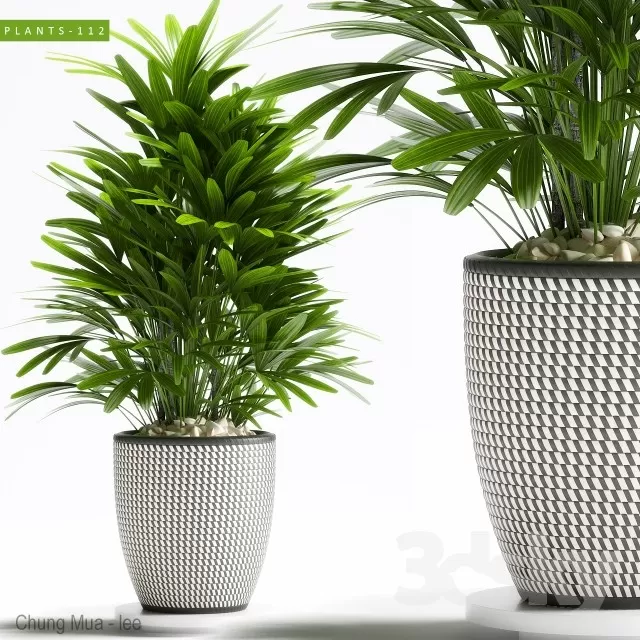 3DSKYFREE – PLANT - FLOOR 3DS MAX MODELS