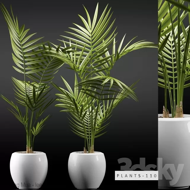 3DSKYFREE – PLANT - FLOOR 3DS MAX MODELS
