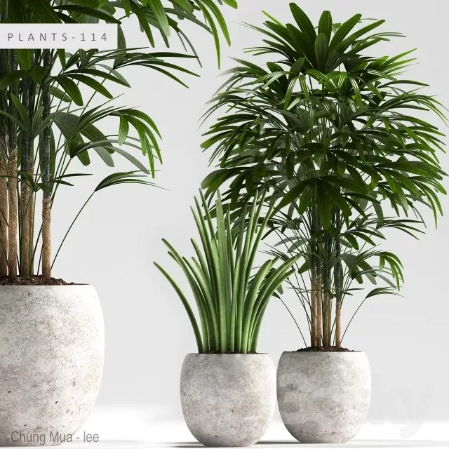 3DSKYFREE – PLANT - FLOOR 3DS MAX MODELS