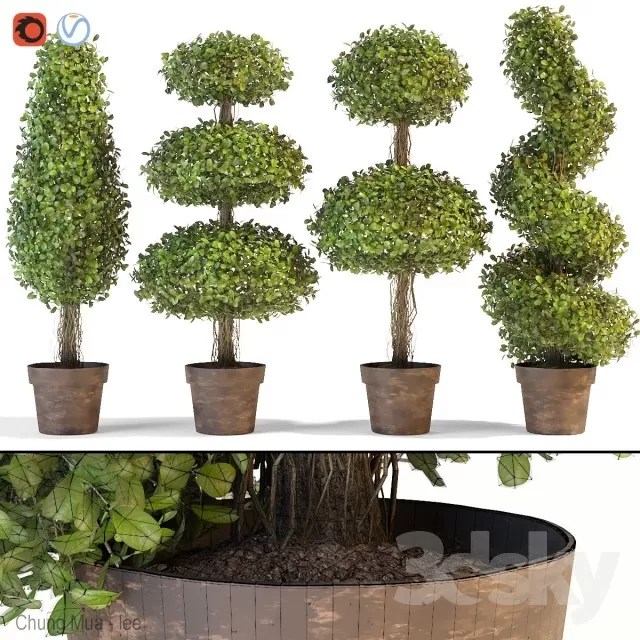 PLANT - FLOOR 3D MODELS