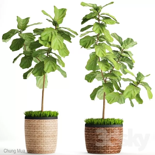 PLANT - FLOOR 3D MODELS