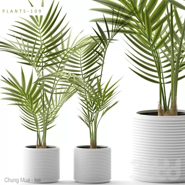 PLANT - FLOOR 3D MODELS