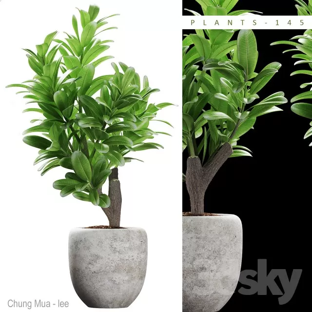 3DSKYFREE – PLANT - FLOOR 3DS MAX MODELS