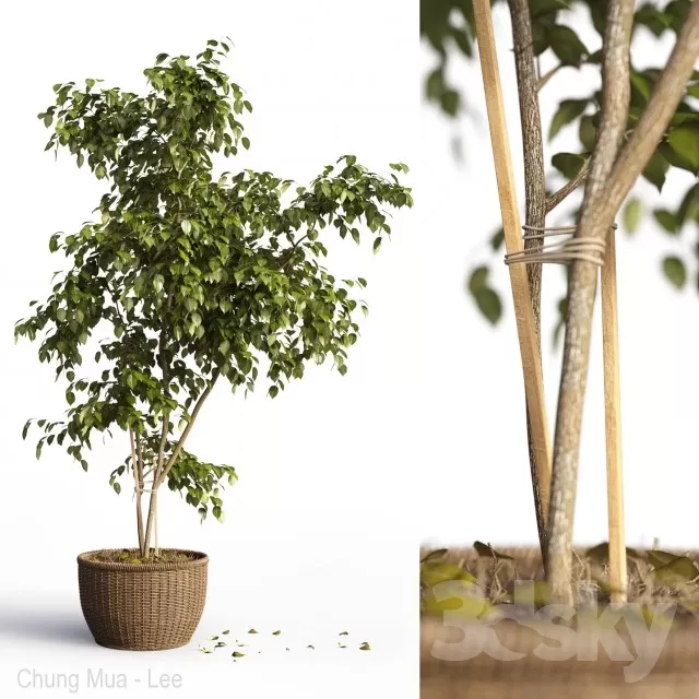 3DSKYFREE – PLANT - FLOOR 3DS MAX MODELS