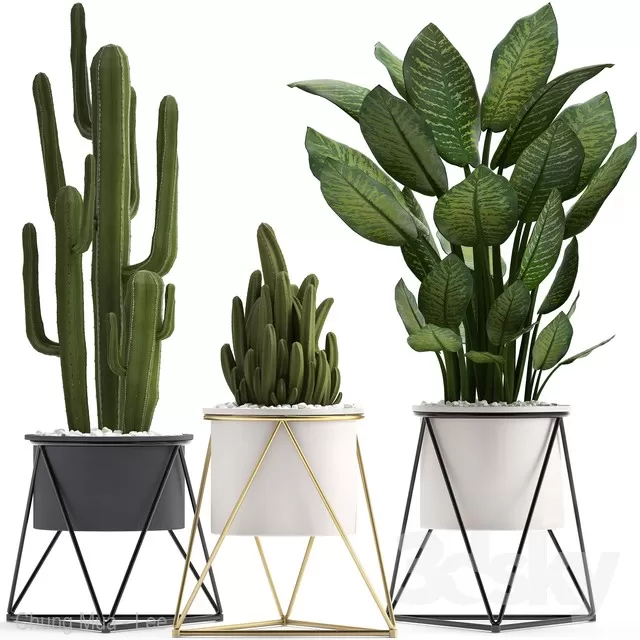 3DSKYFREE – PLANT - FLOOR 3DS MAX MODELS