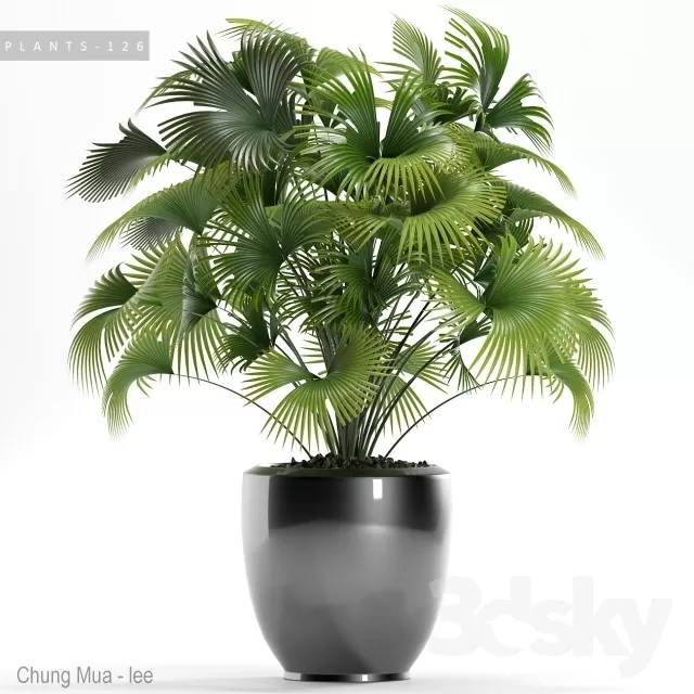 3DSKYFREE – PLANT - FLOOR 3DS MAX MODELS