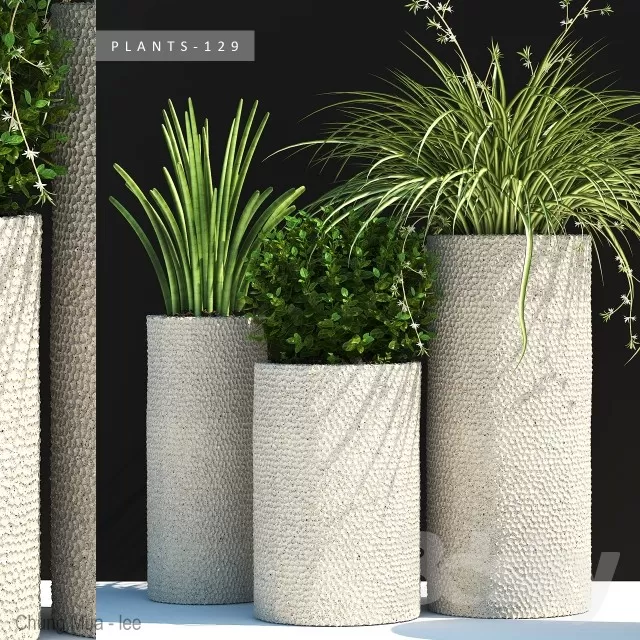 3DSKYFREE – PLANT - FLOOR 3DS MAX MODELS