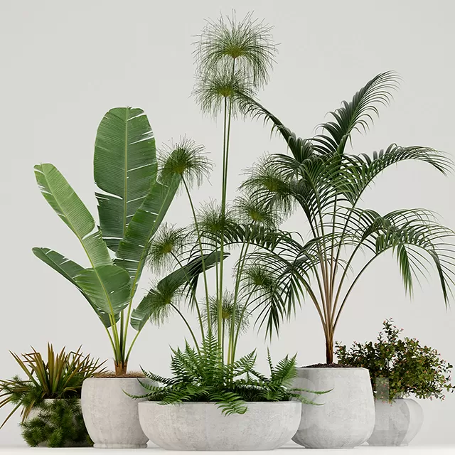 3DSKYFREE – PLANT - FLOOR 3DS MAX MODELS