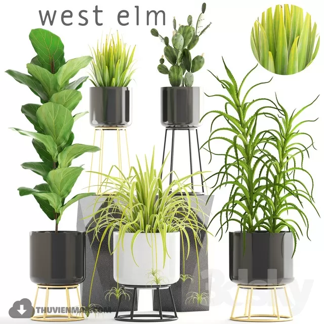 3DSKYFREE – PLANT - FLOOR 3DS MAX MODELS