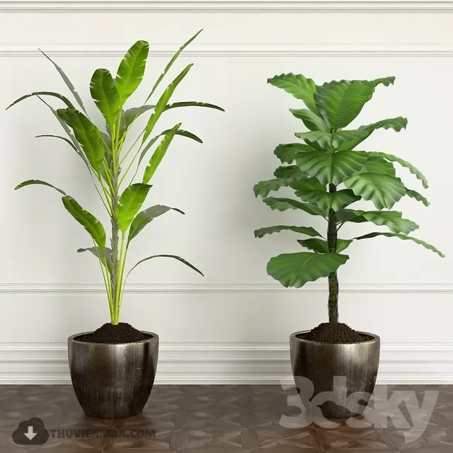 3DSKYFREE – PLANT - FLOOR 3DS MAX MODELS