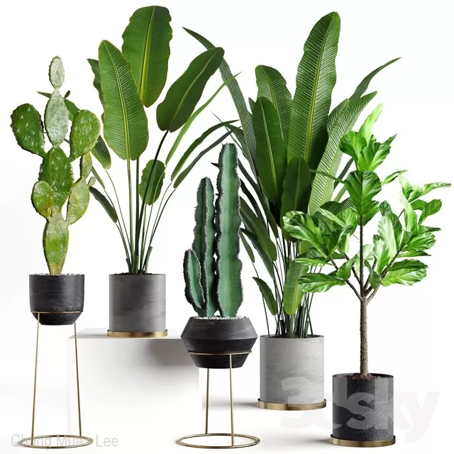 3DSKYFREE – PLANT - FLOOR 3DS MAX MODELS