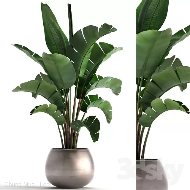 3DSKYFREE – PLANT - FLOOR 3DS MAX MODELS