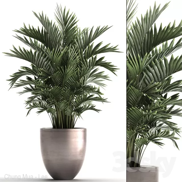 3DSKYFREE – PLANT - FLOOR 3DS MAX MODELS
